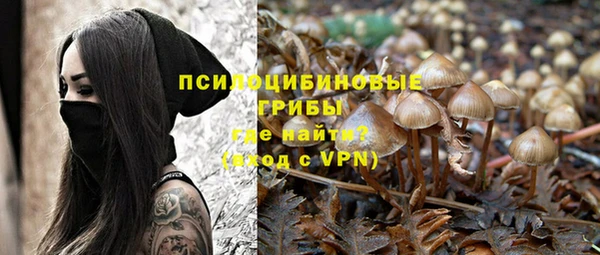 метадон Бородино
