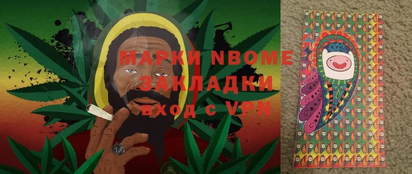 дурь Бронницы