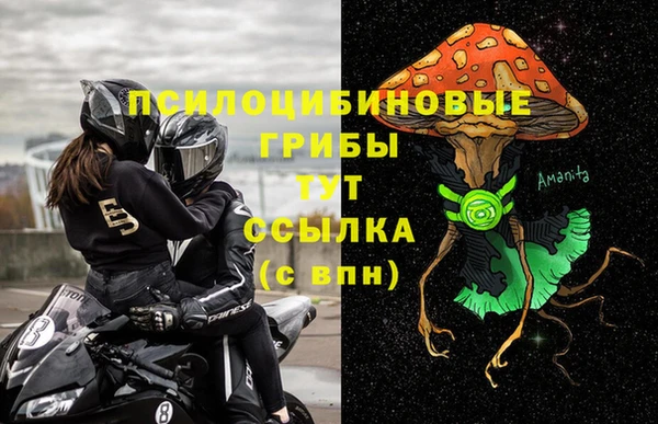 дурь Бронницы