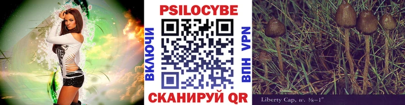Галлюциногенные грибы мухоморы  Купить закладки  Александровск-Сахалинский 